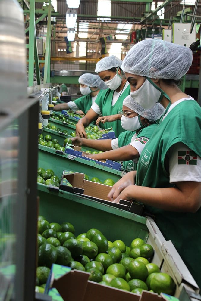 limao_01 Funcionários selecionado à mão os melhores limões